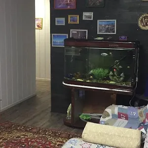  Hostel Lion Kazakhstan